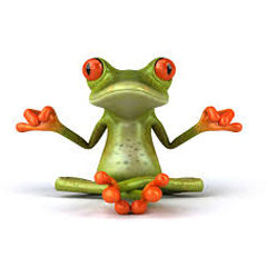 A frog in Buddha position