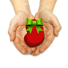 hands holding a kidney with a bow